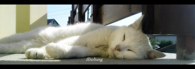 Wpis ffrehugs