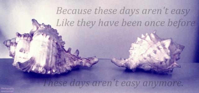 shells