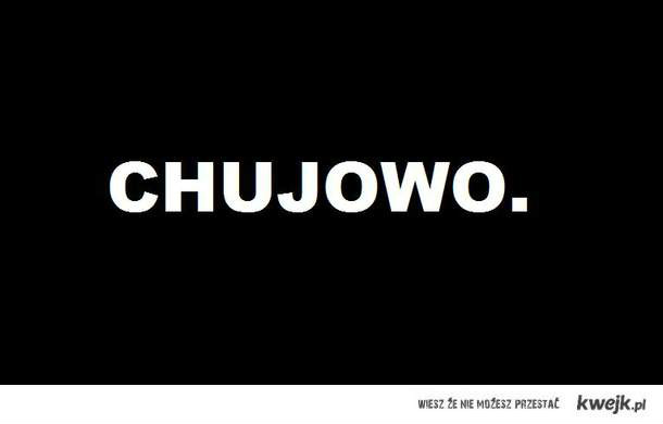 Wpis guliwier