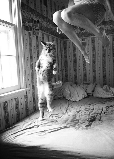 I can fly!