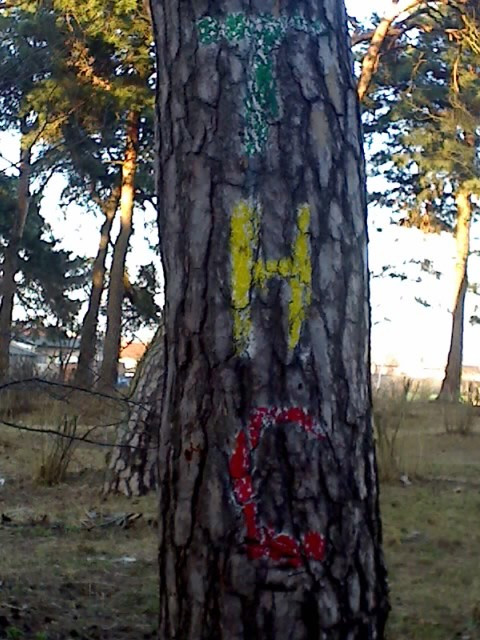 To co wicej ...
