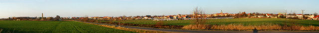 Jawor
