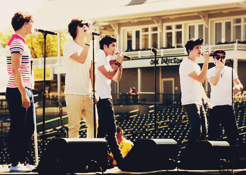 Wpis onedirectionerr