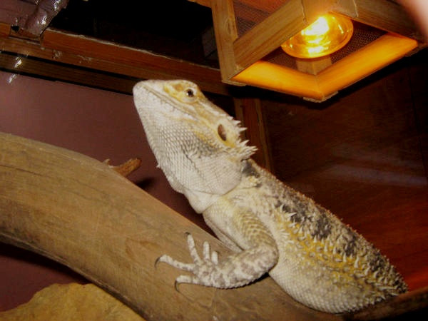 2.