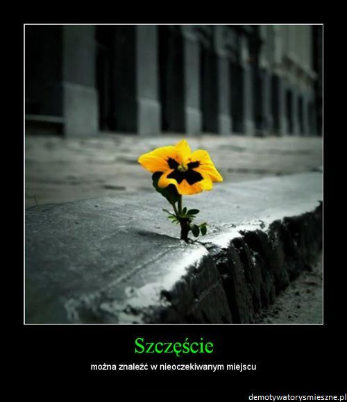 Wpis zawszeidzzaglosemserca