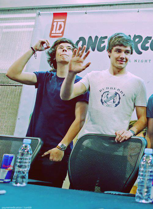 Wpis onedirection5