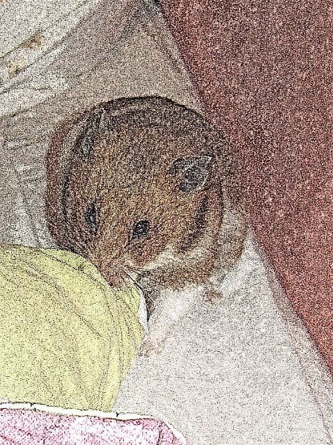 Wpis malutka2002