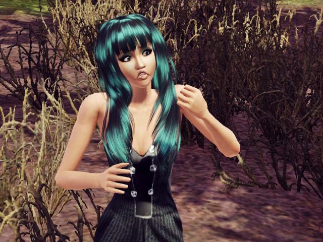 Wpis sims3world