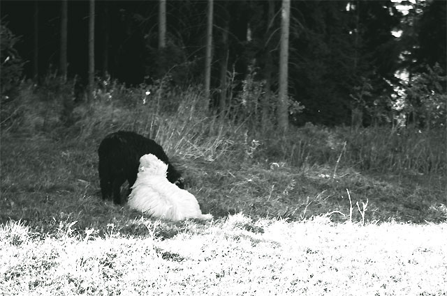 Forgetting all the memories,