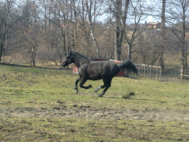 Moje soneczko 