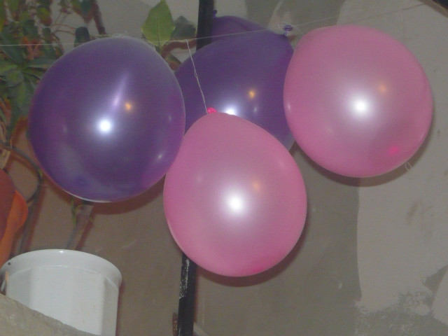 Balony z sylwka