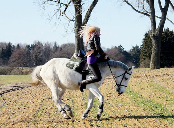 Czaprak Villa Horse
