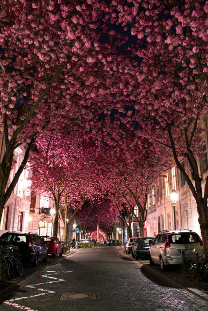 something beautiful.