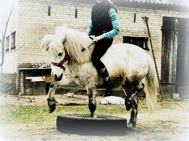 przez oponke ;*