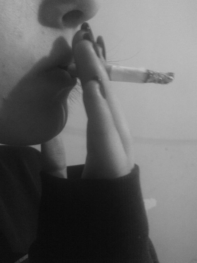 Wpis nacplalamsiemaka