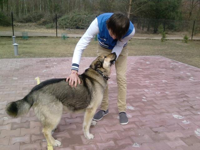 Wpis czarnobialy96