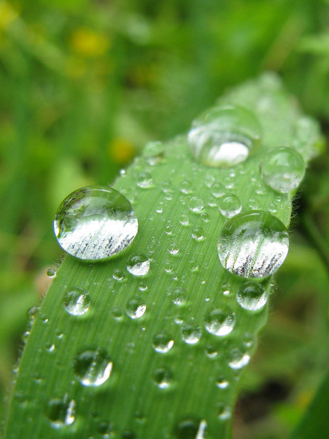 that's not rain that's tears..