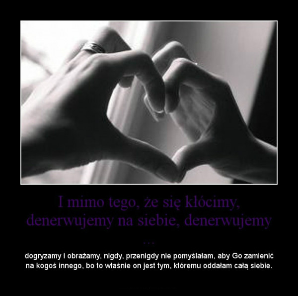 Wpis dajmibu