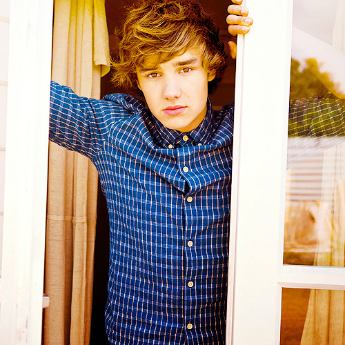 Wpis one1d