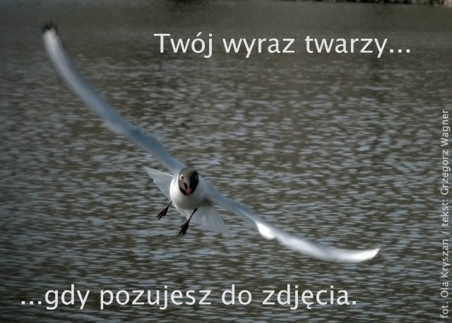 Twj wyraz twarzy gdy pozujesz..