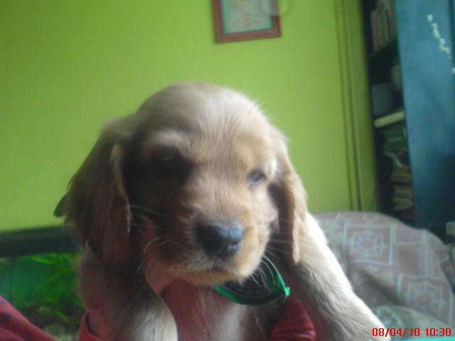 Pieeees :*