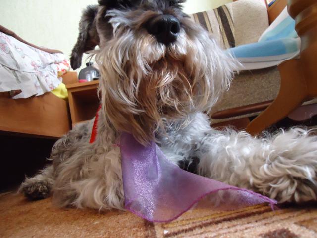 Borcioooo:*:*:*