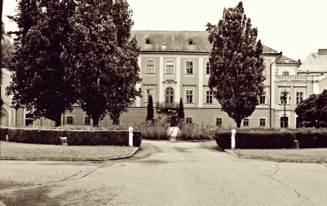 Wpis domi1599
