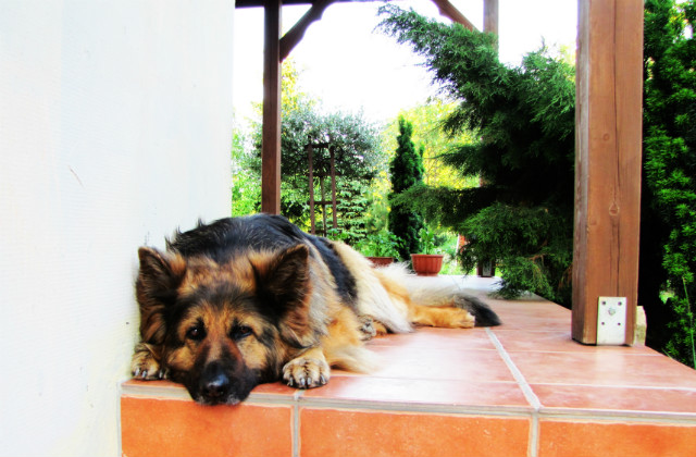daiisy ^^