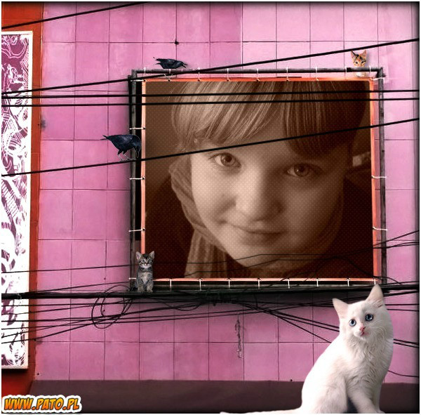 14.
