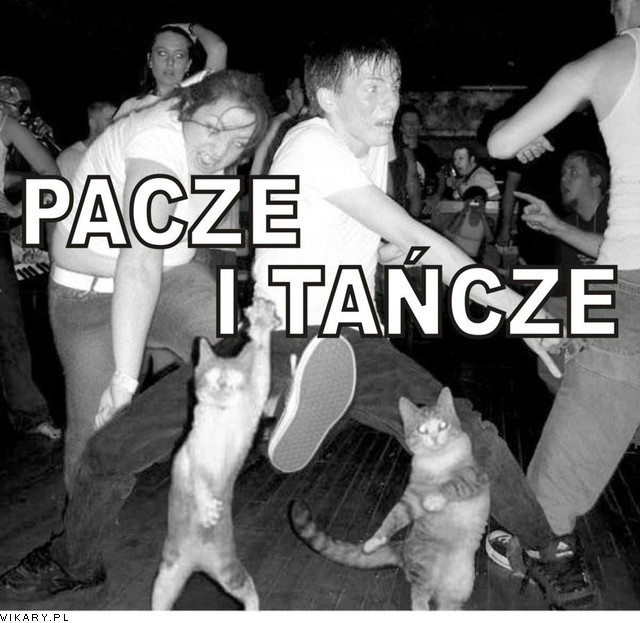 Wpis julkazuza1