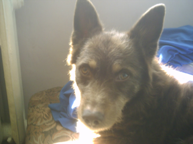 Wpis iwona018