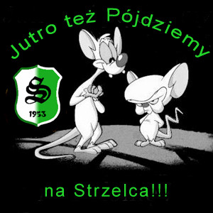 Wpis maciekb19