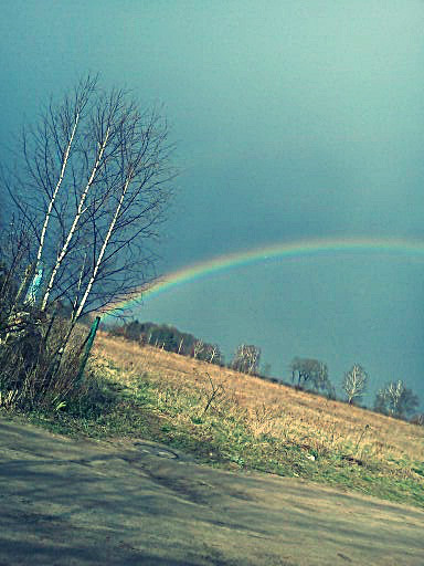 Rygamm ;D