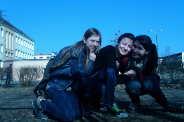 Wpis julkaaa9191