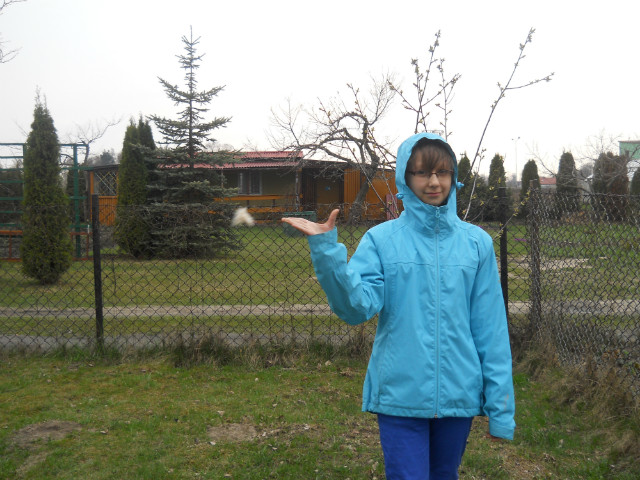 PUSZEK OKRUSZEK;D
