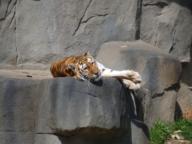 Zoo