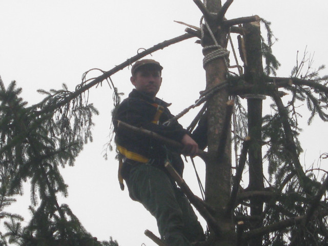Wpis bartolini