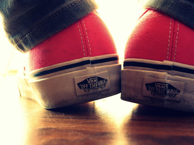 Vans of the lans 