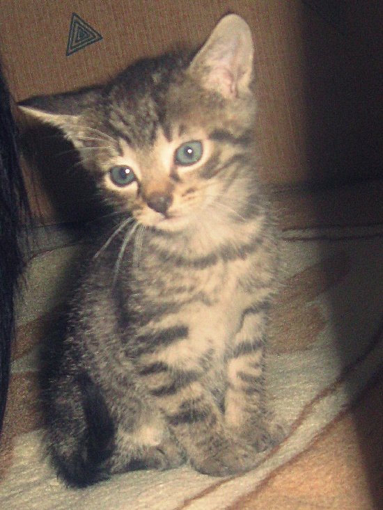 Mj kochany Staszek:*:*