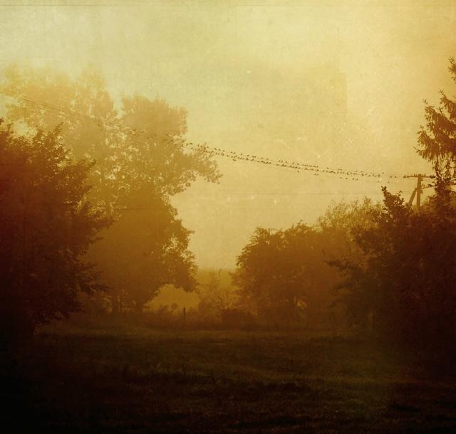 dawn of a fairytale