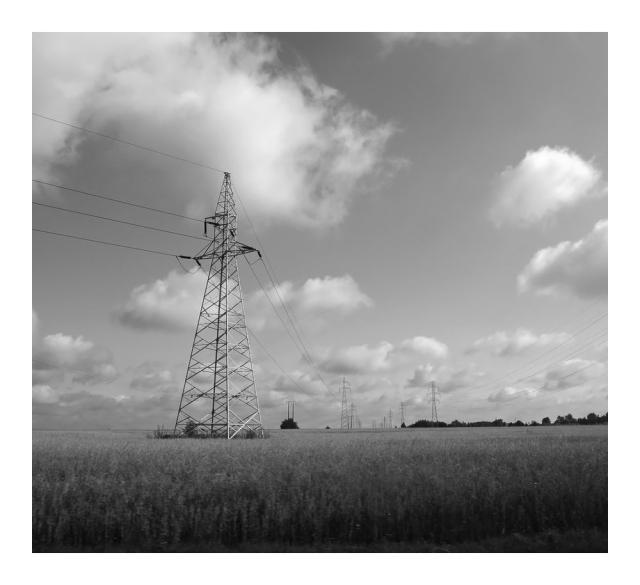 prologue of electric funeral
