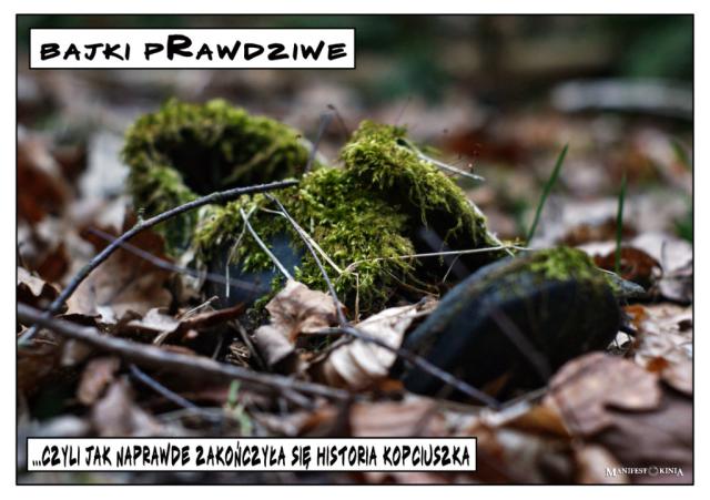 pRawdziwa histoRia Kopciuszka