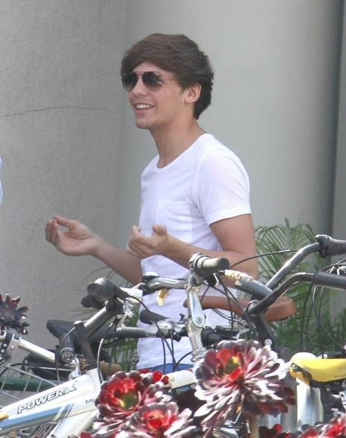 Wpis onedirection5