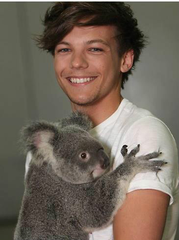 Wpis onedirection5
