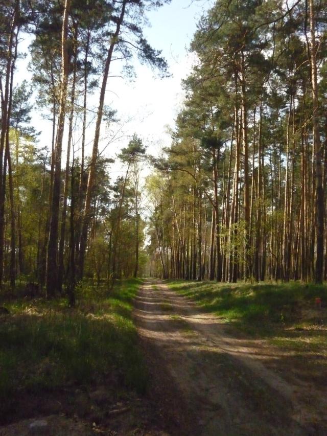Kolsko ;)