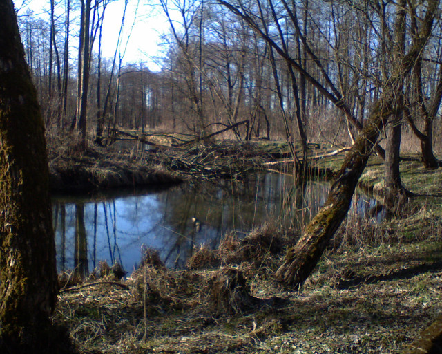 wspomnienia...