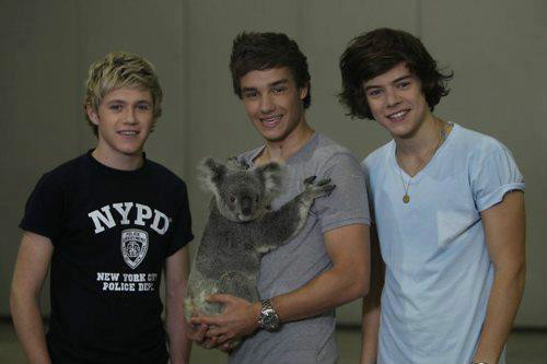 Wpis onedirection5