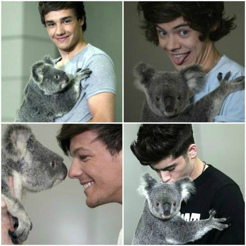 Wpis friendsand1d