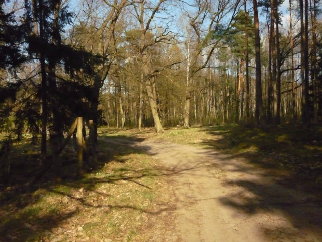 Kolsko