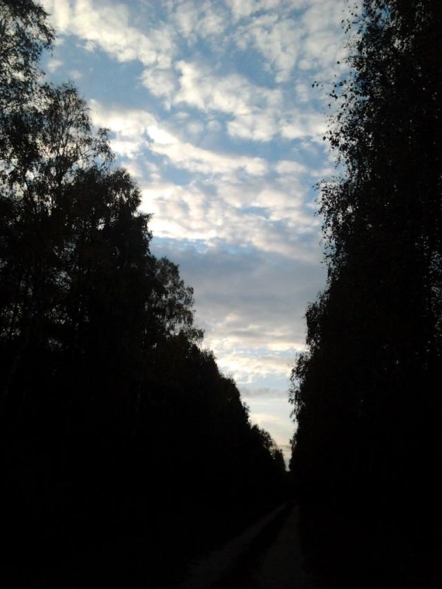 Wpis sukcesrodziwrogow